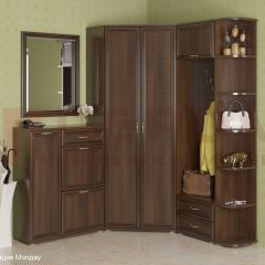 Прихожая Карина композиция 8 (Акация Молдау) в Кургане - kurgan.mebel24.online | фото