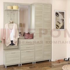 Прихожая Мелисса композиция 11 (Ясень Асахи) в Кургане - kurgan.mebel24.online | фото