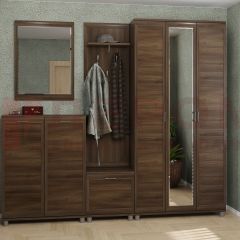 Прихожая Мелисса композиция 2 (Акация Молдау) в Кургане - kurgan.mebel24.online | фото