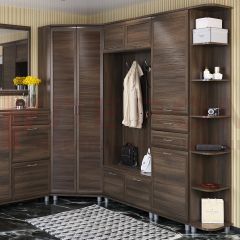 Прихожая Мелисса композиция 6 (Акация Молдау) в Кургане - kurgan.mebel24.online | фото