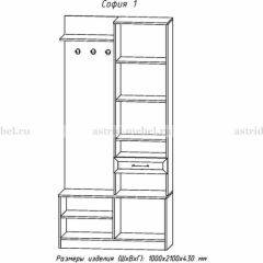 Прихожая София 1 в Кургане - kurgan.mebel24.online | фото 3