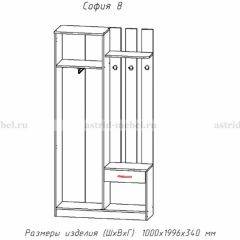 Прихожая София 8 в Кургане - kurgan.mebel24.online | фото 2