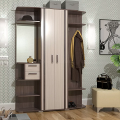 Прихожая ВИЗИТ (2-3432бод.темсв) в Кургане - kurgan.mebel24.online | фото