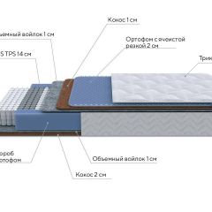 PROxSON Матрас Active Duo M/F (Ткань Трикотаж Эко) 200x200 в Кургане - kurgan.mebel24.online | фото 4