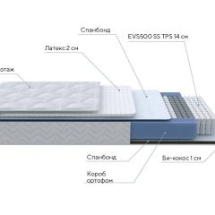 PROxSON Матрас Active Duo S/F (Ткань Трикотаж Эко) 180x195 в Кургане - kurgan.mebel24.online | фото 6