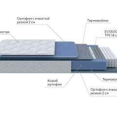 PROxSON Матрас Active M Roll (Ткань Трикотаж Эко) 120x190 в Кургане - kurgan.mebel24.online | фото 7