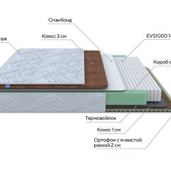 PROxSON Матрас Green Duo M/F (Tricotage Dream) 80x200 в Кургане - kurgan.mebel24.online | фото