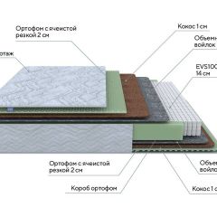 PROxSON Матрас Green M (Tricotage Dream) 120x195 в Кургане - kurgan.mebel24.online | фото 8