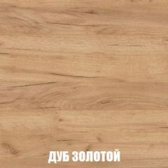 Шкаф 2-х створчатый МСП-1 (Дуб Золотой/Камень темный) в Кургане - kurgan.mebel24.online | фото 4