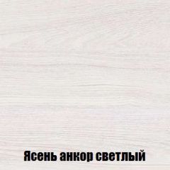 Шкаф 2-х створчатый МСП-1 (Ясень Анкор светлый) в Кургане - kurgan.mebel24.online | фото 4