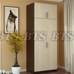 Шкаф 2-х створчатый с перегородкой (венге/лоредо) в Кургане - kurgan.mebel24.online | фото