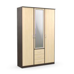 Шкаф комбинированный Дуэт Люкс с зеркалом в Кургане - kurgan.mebel24.online | фото