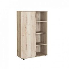 Шкаф комбинированный Дельта Лофт-13 Дуб Ирладндский в Кургане - kurgan.mebel24.online | фото