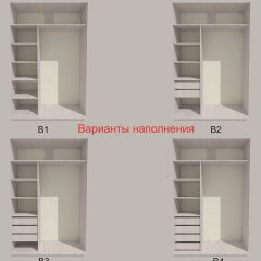 Шкаф-купе 1300 серии SILVER S3+S4+B2+PL4 (2 ящика+F обр.штанга) профиль «Серебро» в Кургане - kurgan.mebel24.online | фото 5