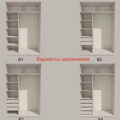 Шкаф-купе 1500 серии SILVER S1+S1+B2+PL2 (2 ящика+1 штанга+1 полка) профиль «Серебро» в Кургане - kurgan.mebel24.online | фото 5