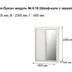 Шкаф-купе 1600 с зеркалом "Мария-Луиза 6.16" в Кургане - kurgan.mebel24.online | фото 4