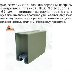 Шкаф-купе 1700 серии NEW CLASSIC K3+K3+B2+PL1 (2 ящика+1 штанга) профиль «Капучино» в Кургане - kurgan.mebel24.online | фото 5