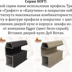 Шкаф-купе 2400 серии SOFT D4+D4+D4+B22+PL1 (по 2 ящика лев/прав+1штанга) профиль «Графит» в Кургане - kurgan.mebel24.online | фото 12