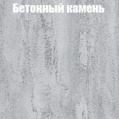Шкаф-купе Бассо 1.0 (Дуб Крафт серый/Бетонный камень) 2 двери ЛДСП 2 зеркальные вставки в Кургане - kurgan.mebel24.online | фото 3