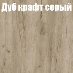 Шкаф-купе Бассо 1.0 (Дуб Крафт серый/Бетонный камень) 2 двери ЛДСП 2 зеркальные вставки в Кургане - kurgan.mebel24.online | фото 4