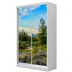 Шкаф-купе ХИТ 22-12-77 (620) в Кургане - kurgan.mebel24.online | фото 6