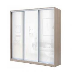 Шкаф-купе ХИТ 22-20/2-888 (620) в Кургане - kurgan.mebel24.online | фото 7