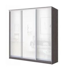 Шкаф-купе ХИТ 22-20/2-888 (620) в Кургане - kurgan.mebel24.online | фото 9
