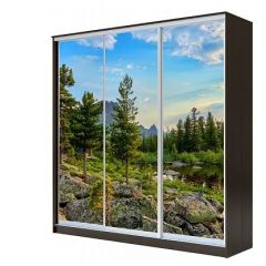 Шкаф-купе ХИТ 23-4-18-777 (420) в Кургане - kurgan.mebel24.online | фото 1