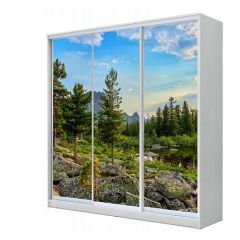 Шкаф-купе ХИТ 23-4-20/2-777 (420) в Кургане - kurgan.mebel24.online | фото