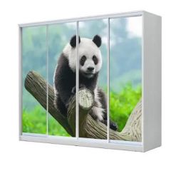 Шкаф-купе ХИТ 23-4-24/2-7777 (420) в Кургане - kurgan.mebel24.online | фото
