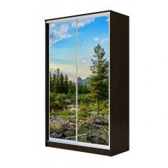 Шкаф-купе ХИТ 24-4-14-77 (420) в Кургане - kurgan.mebel24.online | фото 1