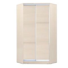Шкаф-купе ХИТ-У-22-4-11 в Кургане - kurgan.mebel24.online | фото 5