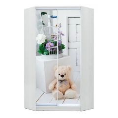 Шкаф-купе ХИТ-У-23-4-77 в Кургане - kurgan.mebel24.online | фото