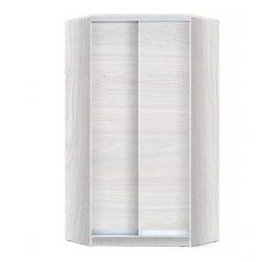 Шкаф-купе ХИТ-У-L-22-64-11 в Кургане - kurgan.mebel24.online | фото 6