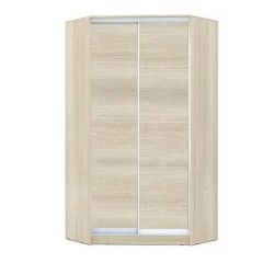 Шкаф-купе ХИТ-У-L-22-64-11 в Кургане - kurgan.mebel24.online | фото 7