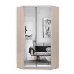 Шкаф-купе ХИТ-У-L-22-64-55 в Кургане - kurgan.mebel24.online | фото 8