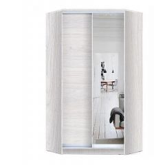 Шкаф-купе ХИТ-У-L-24-64-15 в Кургане - kurgan.mebel24.online | фото 6