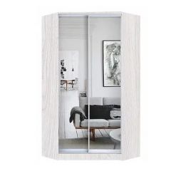 Шкаф-купе ХИТ-У-L-24-64-55 в Кургане - kurgan.mebel24.online | фото 6