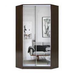 Шкаф-купе ХИТ-У-R-22-64-55 в Кургане - kurgan.mebel24.online | фото