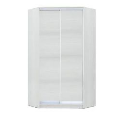 Шкаф-купе ХИТ-У-R-24-64-11 в Кургане - kurgan.mebel24.online | фото
