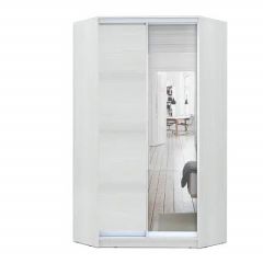 Шкаф-купе ХИТ-У-R-24-64-15 в Кургане - kurgan.mebel24.online | фото