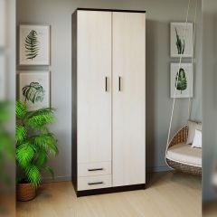 Шкаф распашной ПШ-3.9 в Кургане - kurgan.mebel24.online | фото 3