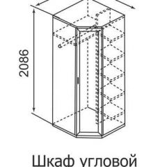 Шкаф угловой для одежды Ника-Люкс 30 с зеркалами в Кургане - kurgan.mebel24.online | фото 3