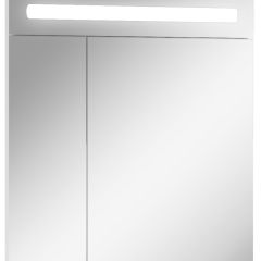 Шкаф-зеркало Аврора 65 с подсветкой LED Домино (DV8006HZ) в Кургане - kurgan.mebel24.online | фото