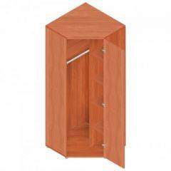 Шкаф для одежды "Референт" Р.Ш-10 в Кургане - kurgan.mebel24.online | фото