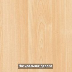 Стол раскладной со стеклом (опоры массив цилиндрический) "Хоста" в Кургане - kurgan.mebel24.online | фото 10