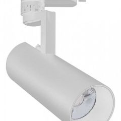 Светильник на штанге Escada 20029 20029TRA/01LED SWH в Кургане - kurgan.mebel24.online | фото