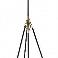 Светильник на штанге Lightstar Modena 816047 в Кургане - kurgan.mebel24.online | фото