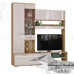 ФЛАЙ Центральная секция ЦС-01 (дуб сонома/белый) в Кургане - kurgan.mebel24.online | фото 2