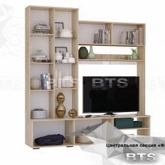 ФЛАЙ Центральная секция ЦС-01 (дуб сонома/белый) в Кургане - kurgan.mebel24.online | фото 4